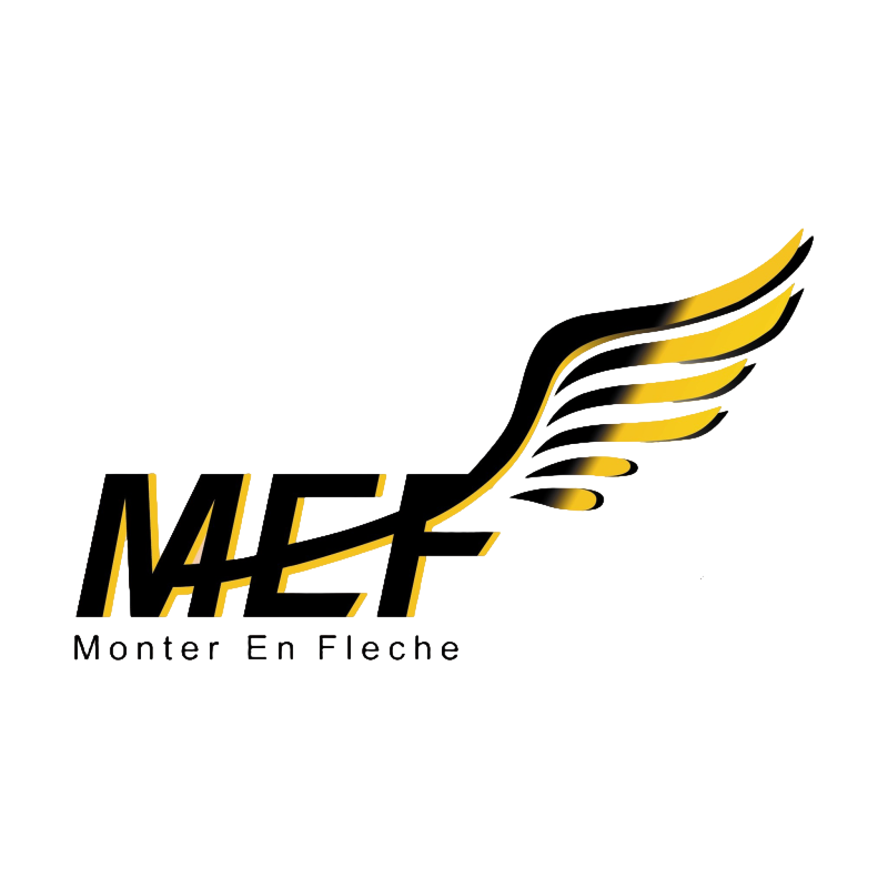 飛翔娛樂_Logo